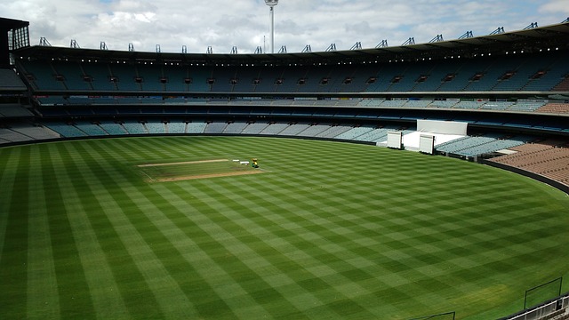 R是不是需 R是不是需