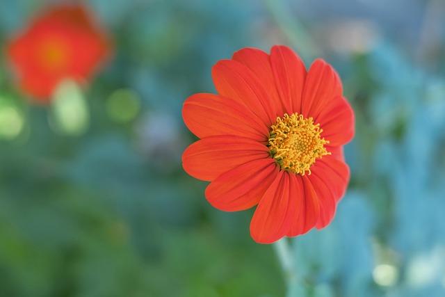 引发了广泛 引发了广泛