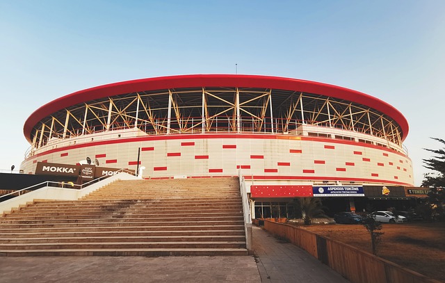 来了心理上 来了心理上