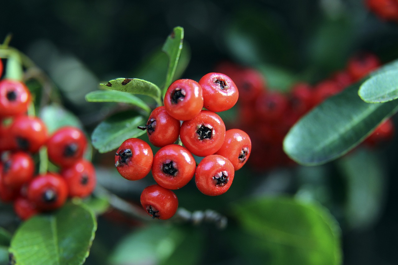 会进一步丰 会进一步丰