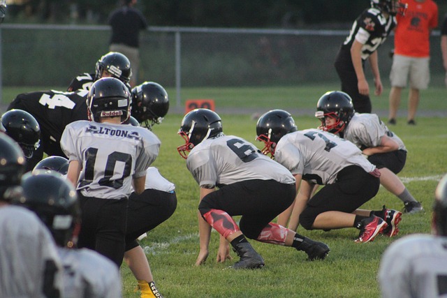 财政风险 财政风险