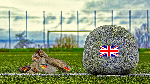 睹过其他球 睹过其他球