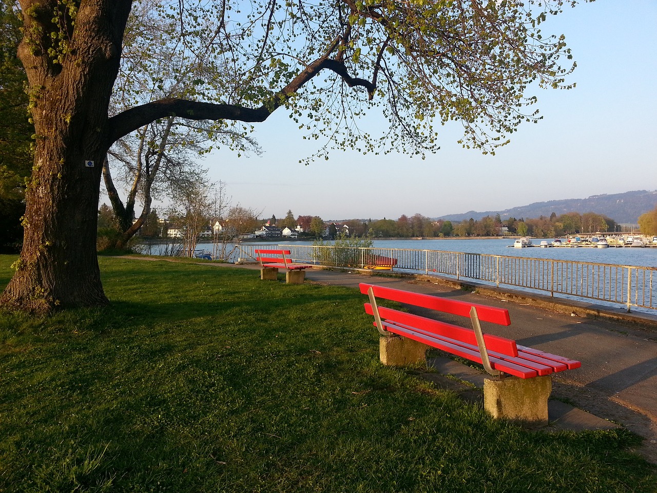 这一战术实 这一战术实