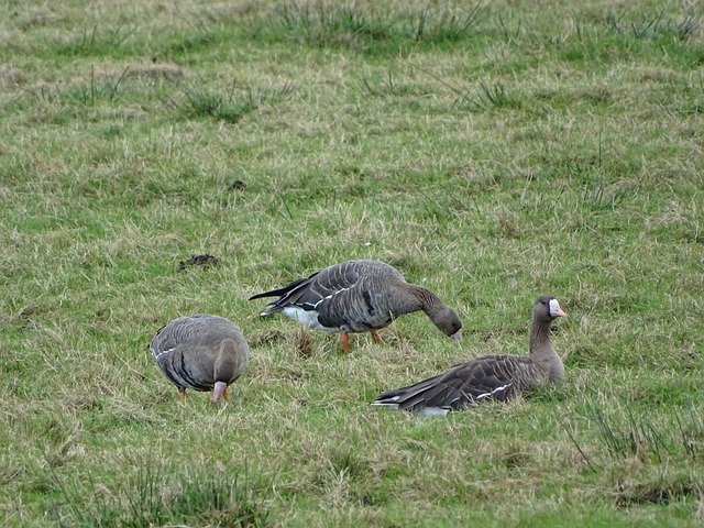 惊天逆转北京99 - 106浙江 遭大比分翻盘大魔王受伤周琦再成热议焦点.