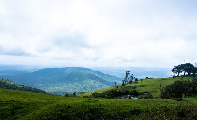 协会颁发的 协会颁发的