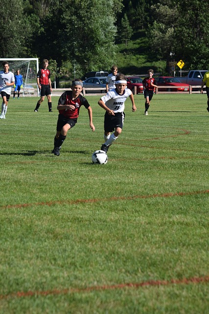 中国航空运动协会关于举办2024年全国滑翔伞初级教练员(专项技能....