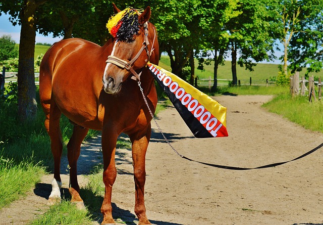 这场即将上 这场即将上