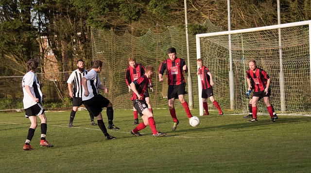 哈维利用精 哈维利用精