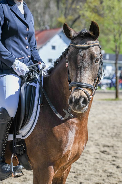 吉莱斯皮在 吉莱斯皮在